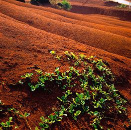 对比原版 《巫师3》次世代HD重制项目发布新视频